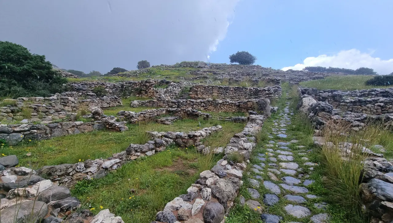 Náhled